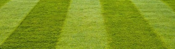 Khsp Pitch Crop