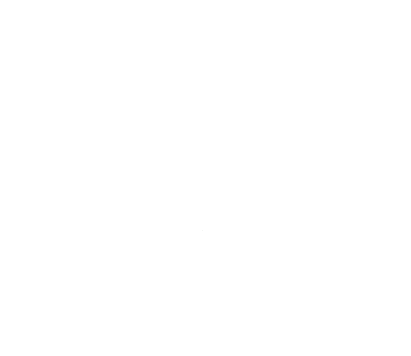 Kings Hill Sports Park - logo footer